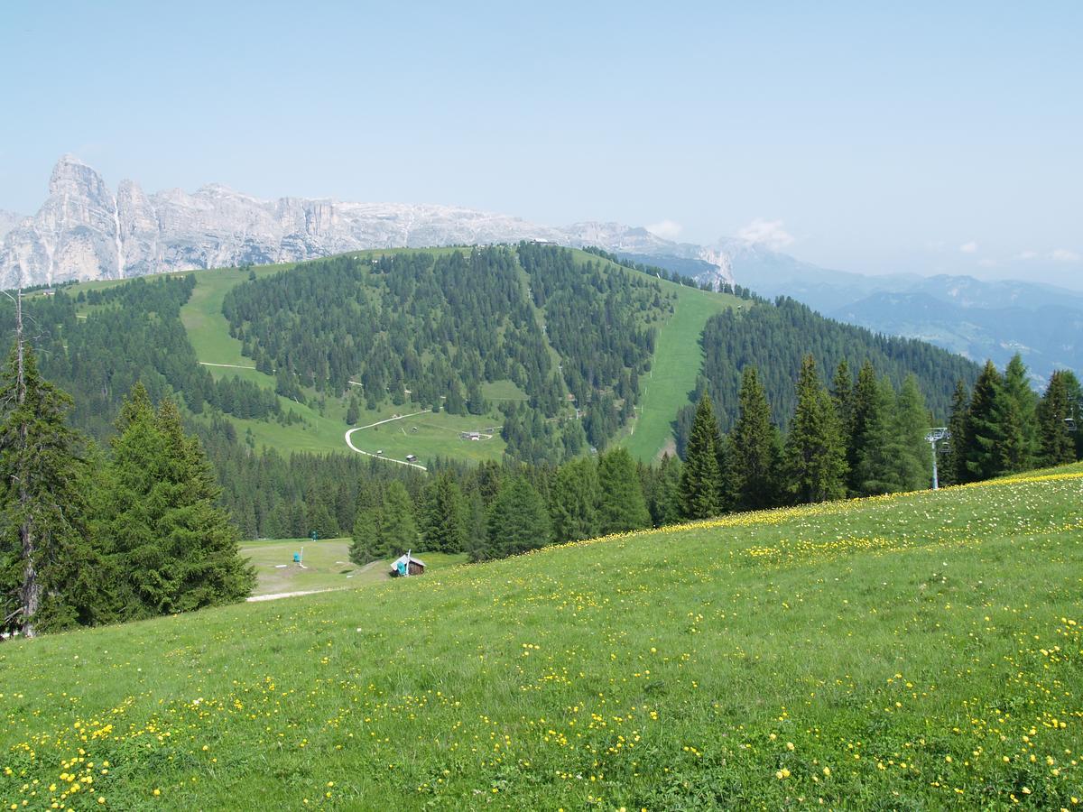 Residence Vajolet San Cassiano المظهر الخارجي الصورة